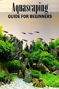 Aquascaping Guide for Beginners: Gift Ideas for Christmas