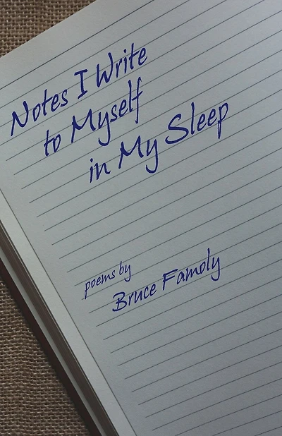 Notes I Write to Myself in My Sleep