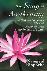The Song of Awakening: A Guide to Liberation Through Marananussati 'Mindfulness of Death'