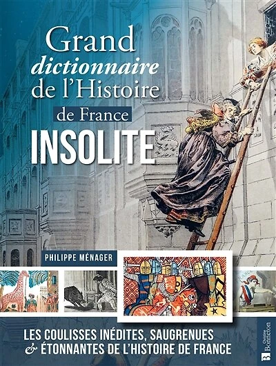 Grand dictionnaire de l'histoire de France insolite: les coulisses inédites, saugrenues et étonnantes de l'histoire de France