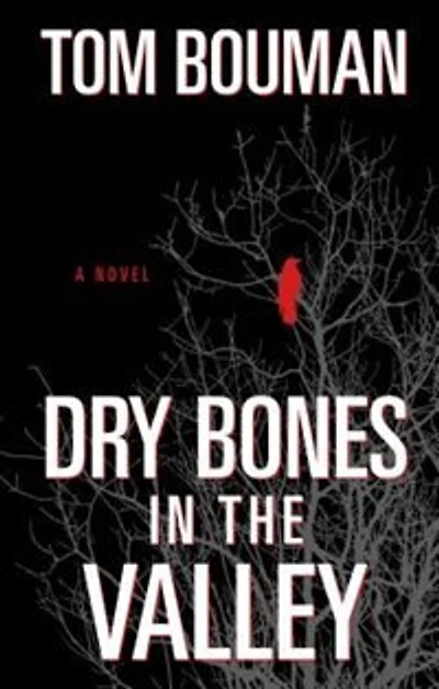 Dry Bones In The Valley: (Large Print)