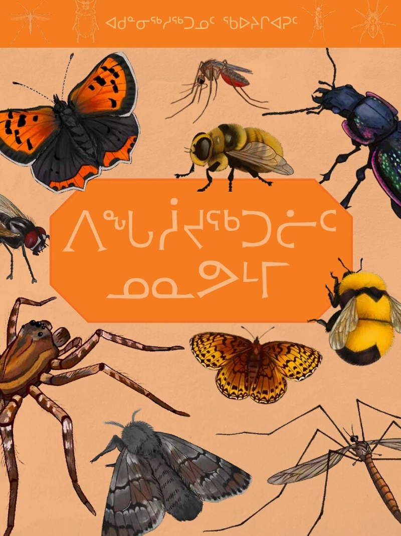 Junior Field Guide Insects of Nunavut: English Edition