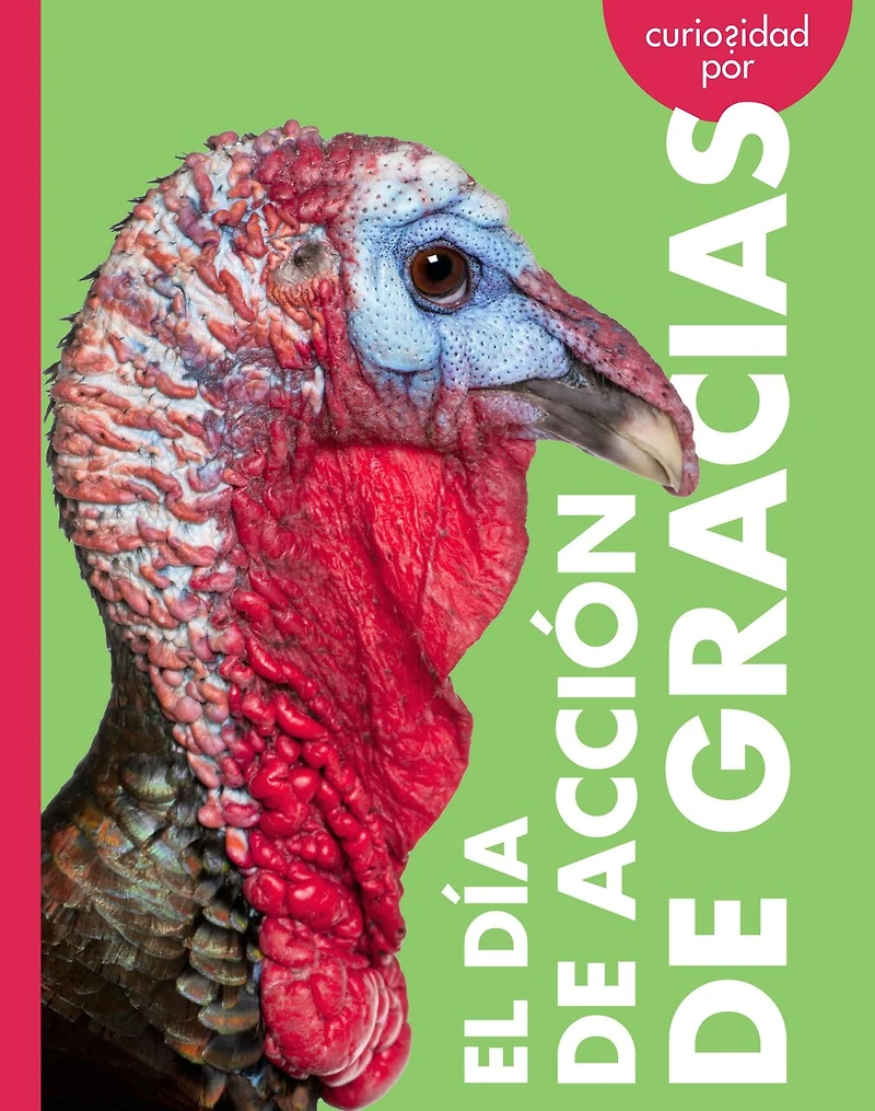 Curiosidad por el Día de Acción de Gracias