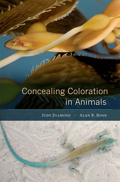 Concealing Coloration Animals