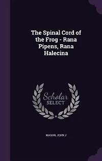 the Spinal Cord of Frog - Rana Pipens, Halecina