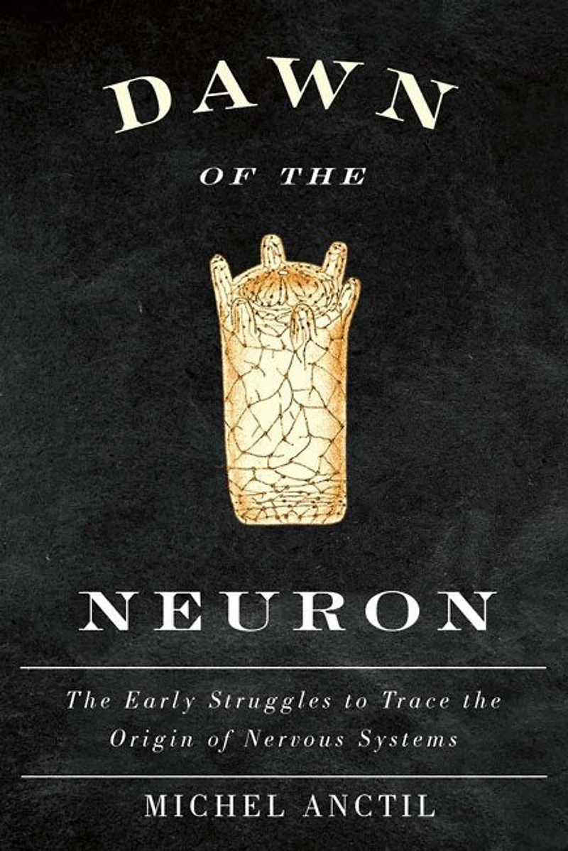 Dawn of the Neuron: Early Struggles to Trace Origin Nervous Systems