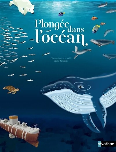 Plongée dans l'océan: un voyage sous-marin de la surface aux abysses