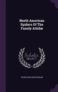 North American Spiders Of The Family Attidæ