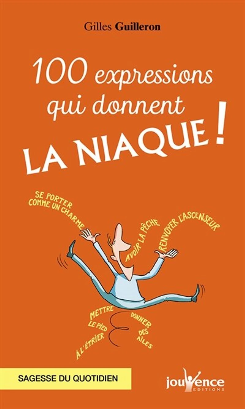 100 expressions qui donnent la niaque ! : sagesse du quotidien: quotidien