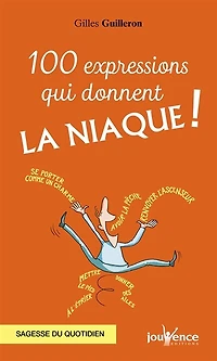 100 expressions qui donnent la niaque ! : sagesse du quotidien: quotidien