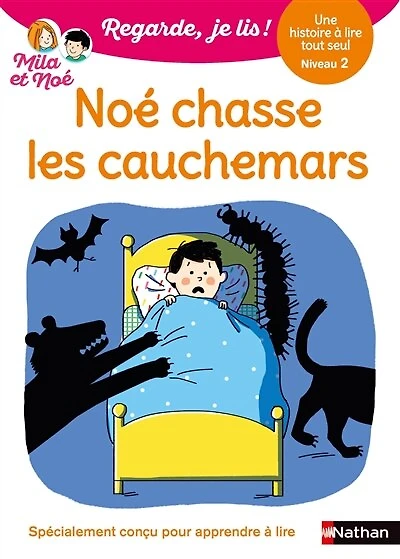 Noé chasse les cauchemars: une histoire à lire tout seul, niveau 2