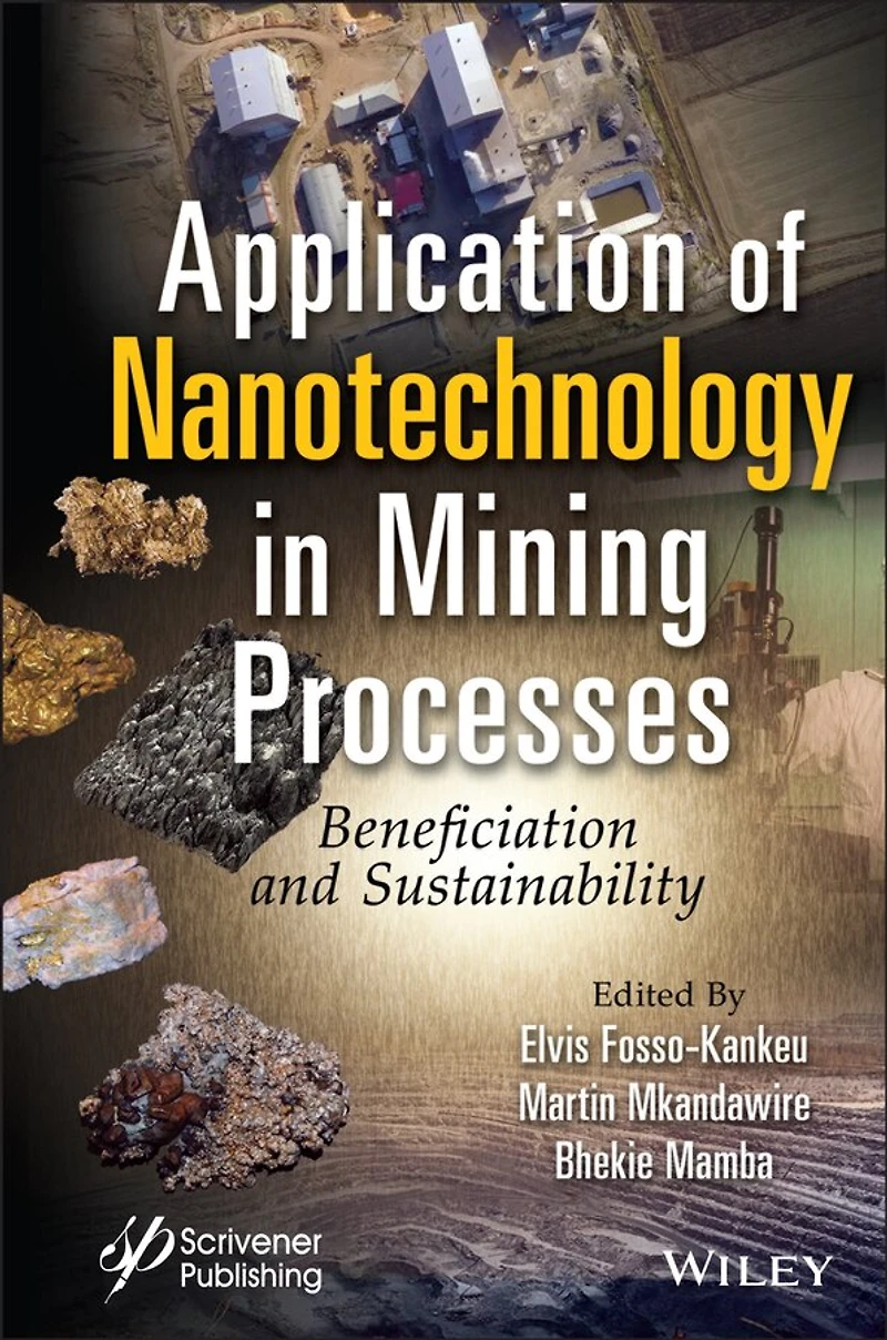 Application of Nanotechnology Mining Processes: Beneficiation and Sustainability