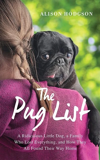 The Pug List: A Ridiculous Little Dog