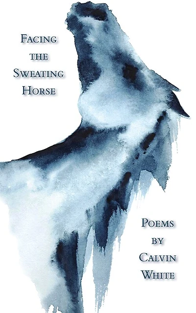 Facing The Sweating Horse
