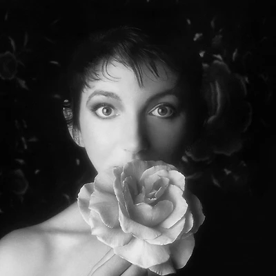 II by Kate Bush (4 LPS)