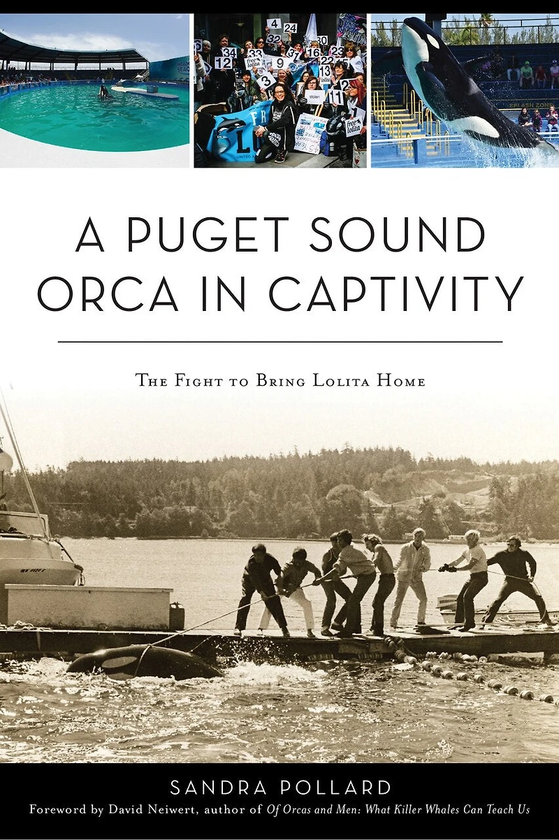Puget Sound Orca in Captivity, A: The Fight To Bring Lolita Home