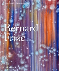 Bernard Frize
