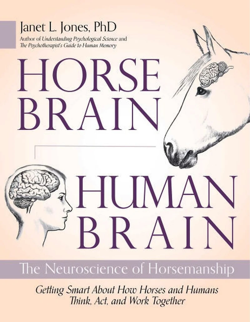 Horse Brain, Human Brain: The Neuroscience of Horsemanship