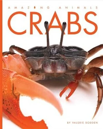 Crabs: Amazing Animals: Crabs
