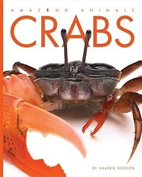 Crabs: Amazing Animals: Crabs