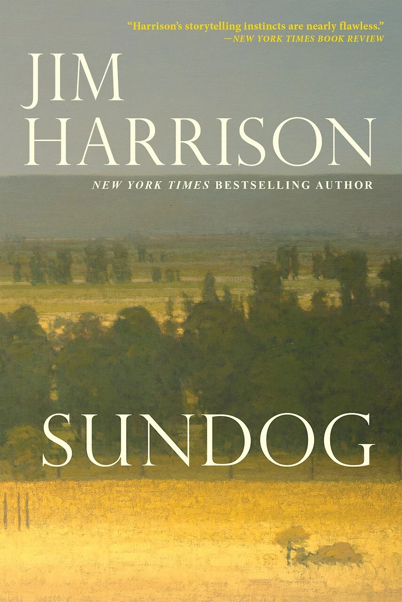 Sundog