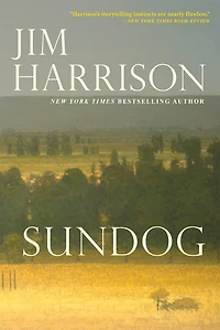 Sundog