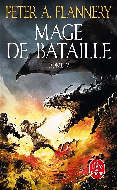 Mage de bataille, Vol. 2