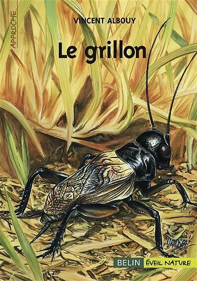 Le grillon