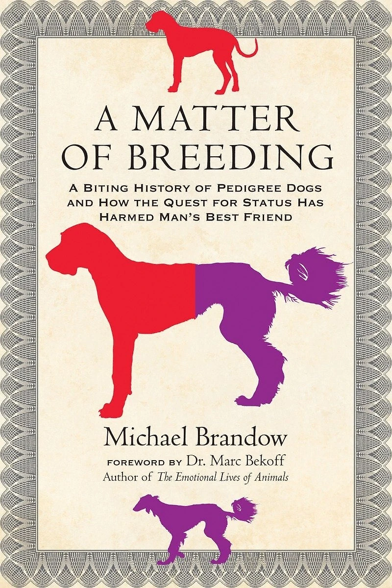 A Matter of Breeding: Biting History Pedigree Dogs and How the Quest for Status Has Harmed Man's Best Friend