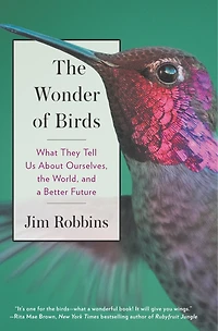 the Wonder of Birds: What They Tell Us About Ourselves, World, and a Better Future