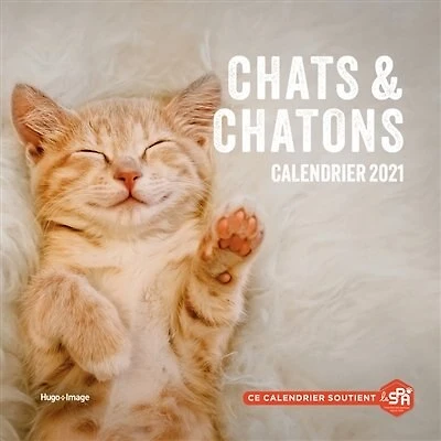Chats & chatons: calendrier 2021