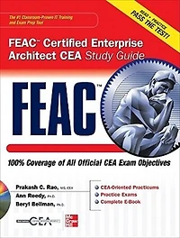 FEAC Certified Enterprise Architect CEA Study Guide