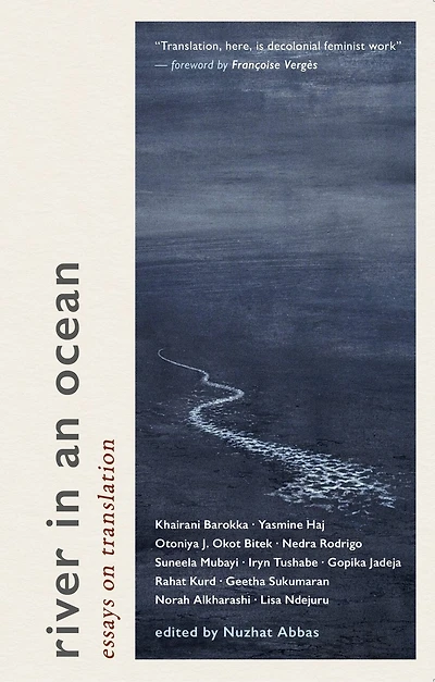River in an Ocean: essays on translation