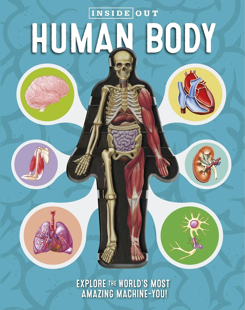 Inside Out Human Body: Explore The World's Most Amazing Machine-you!