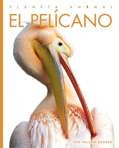 El pelicano: Planeta animal: El pelicano