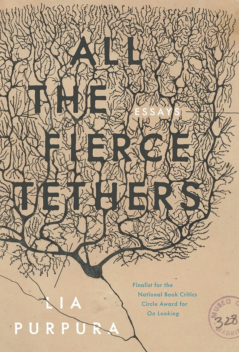 All The Fierce Tethers