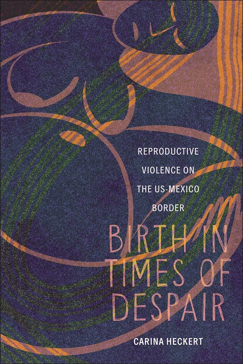 Birth Times of Despair: Reproductive Violence on the US-Mexico Border
