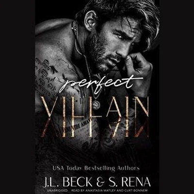 Perfect Villain: A Dark Stalker Mafia Romance