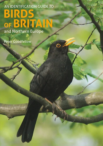 Identification Guide To Birds Of Britain & Northern Europe