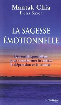 la sagesse émotionnelle: des outils quotidiens pour transformer colère, dépression et crainte