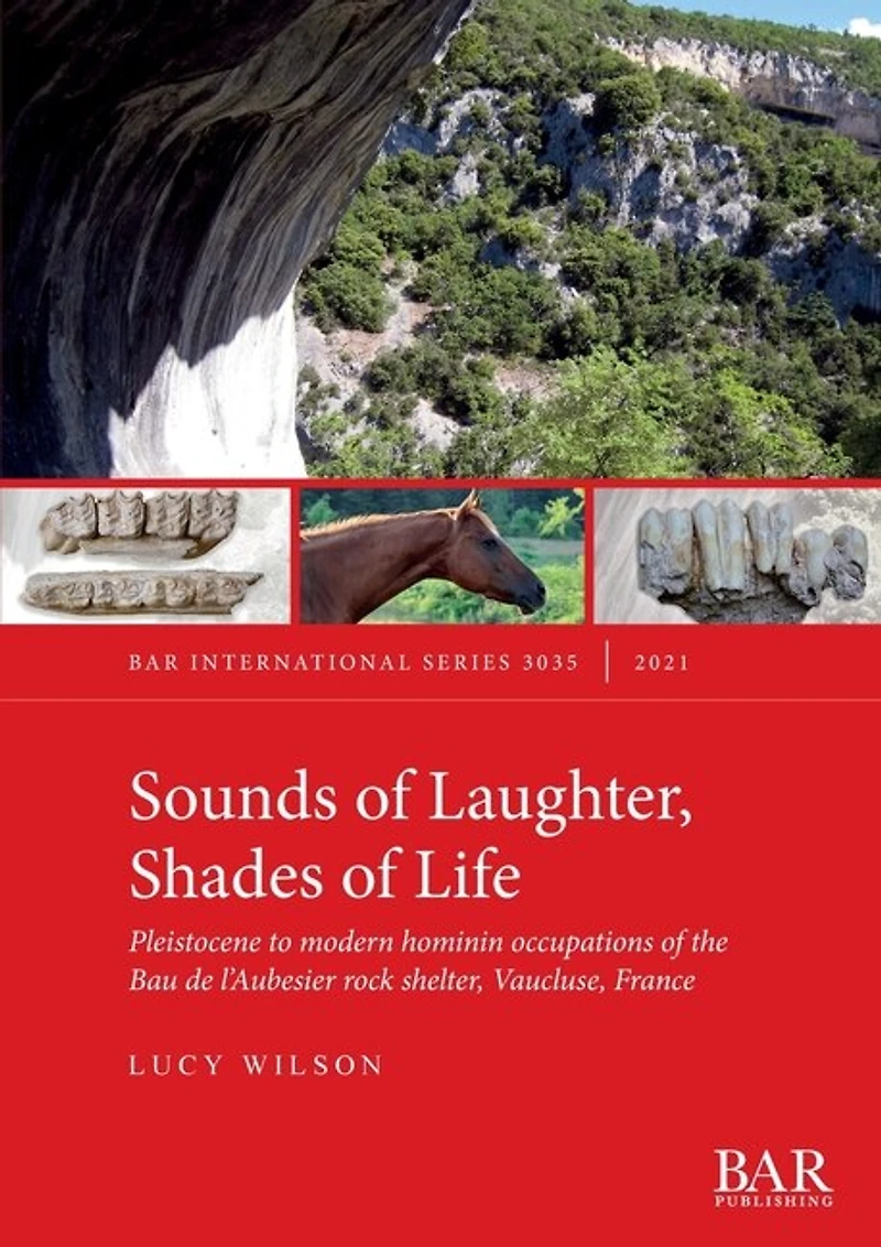 Sounds of Laughter, Shades of Life: Pleistocene to modern hominin occupations of the Bau de l'Aubesier rock shelter, Vaucluse, France