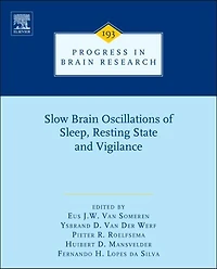 Slow Brain Oscillations of Sleep, Resting State and Vigilance