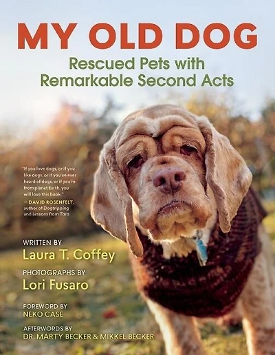 My Old Dog: Rescued Pets With Remarkable Second Acts