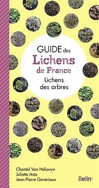 Lichens des arbres