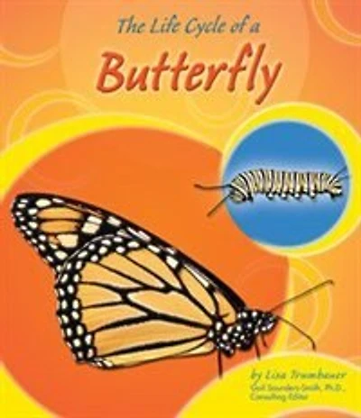 The Life Cycle of a Butterfly