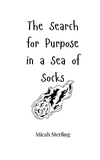 The Search for Purpose in a Sea of Socks