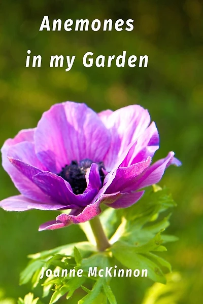 Anemones in my Garden: ArtistGarden.net