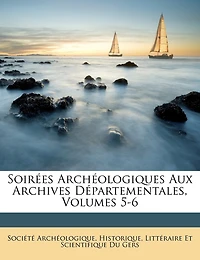 Soirées Archéologiques Aux Archives Départementales, Volumes 5-6 - Primary Source Edition