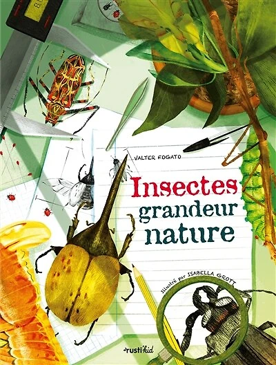 Insectes: grandeur nature