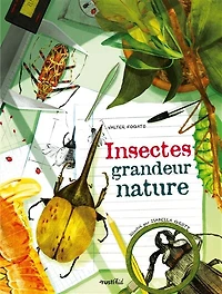 Insectes: grandeur nature